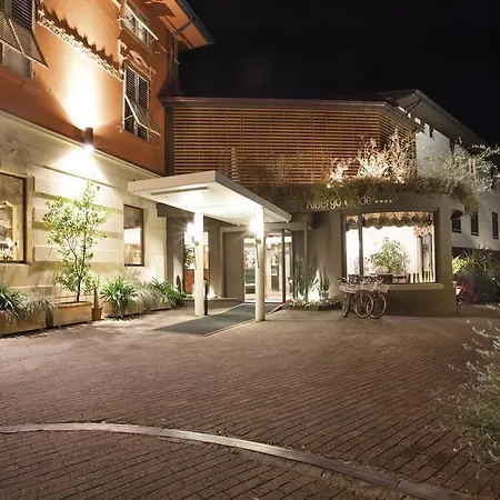阿尔伯格席琳酒店 4* 卢卡